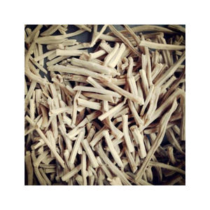 รากชาตาวารีสดธรรมชาติ 100% แอสพาราจัส ราเซโมซัส เฮอร์โบจิต อินเตอร์เนชั่นแนล บรรจุภัณฑ์ 25 กิโลกรัม ผลิตในอินเดีย อายุการเก็บรักษา 18 เดือน - Product Image 3