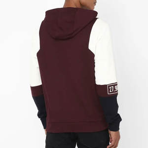 Meilleur design Sweats à capuche à manches longues légers pour hommes Street Wear Style Polyester/coton de haute qualité pour l'hiver Dernier prix - Product Image 2