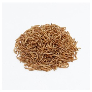 Alimento para Aves de Fábrica de Alimentos para Mascotas, 100g 200g 500g 1000g, Empaque a Granel, Etiqueta Privada OEM, Gusanos de Harina Secos - Product Image 4