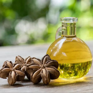 PRODUCTO DE EXPORTACIÓN ACEITE SACHI ALTA CALIDAD Y BUEN PRECIO DE VIETNAM - Product Image 1