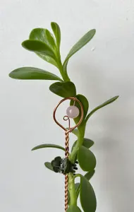 Palos de jardín de cobre puro 100% de calidad superior con perla para soporte de plantas ecológico y decoración de jardín de larga duración - Product Image 3