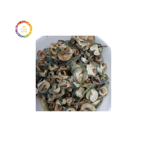 FÁBRICA DE MELÓN DE INVIERNO DESHIDRATADO CON CAPACIDAD MENSUAL LISTA PARA MANEJAR GRANDES PEDIDOS DE SOCIOS COMERCIALES GLOBALES - Product Image 1