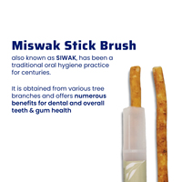 Palitos de Cepillo de Dientes Miswak 100% Orgánicos de Moda al Por Mayor, Tendencia 2025, Calidad Premium, Empaque Premium, Higiene Bucal Multiusos