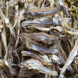 Prix des Anchois Séchés de Qualité Supérieure sur un Produit d'Anchois de Qualité Premium - Product Image 6