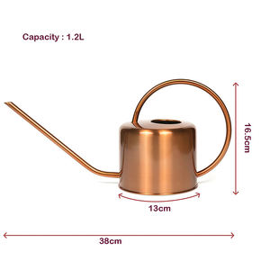 Arrosoir en métal pour jardinage avec design de versement fluide, poignée ergonomique, construction robuste, capacité de 8 L, écologique pour la santé des plantes - Product Image 3