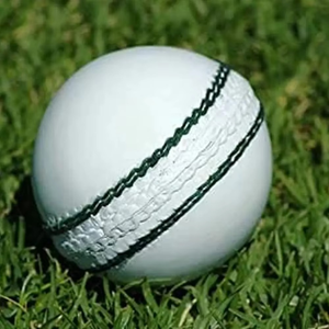Pelota de Cricket dura blanca personalizada con servicio OEM para adultos, pelota de entrenamiento de cuero para jardín, pelotas de Cricket de jardín - Product Image 6