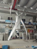 Éolienne verticale haute efficacité 10 kW, design silencieux et compact pour usage résidentiel et commercial, faible vitesse de démarrage.