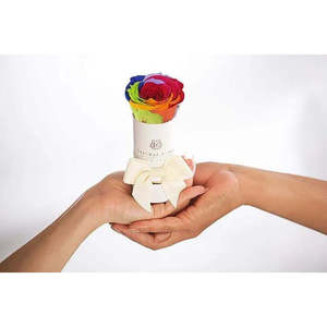 Liberty Romantic Gift Box White Rainbow Eternal Rose Preserved for Valentine's Day or Mother's Day Decorative or Gift Use - Product Image 2