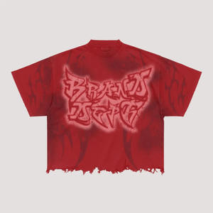 T-shirt d'impression de conception 100% coton lourd de sérigraphie personnalisée avec des t-shirts unisexes de 200 à 300 g/m² - Product Image 1