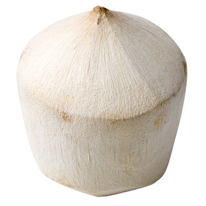 High Quality Vietnamese <b>Fresh</b> <b>Coconut</b> Water for Bulk Drink Export Premium Shell Included - Product Image 5