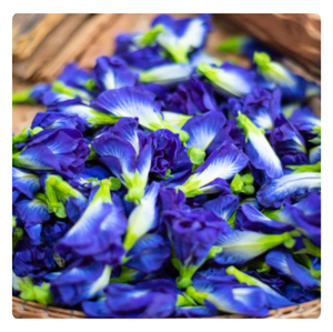 FLEUR DE POIS PAPILLON BIOLOGIQUE DU VIETNAM |   FLEURS SÉCHÉES DE QUALITÉ SUPÉRIEURE pour un THÉ BLEU ENRICHISSEMENT EN SANTÉ - Product Image 5