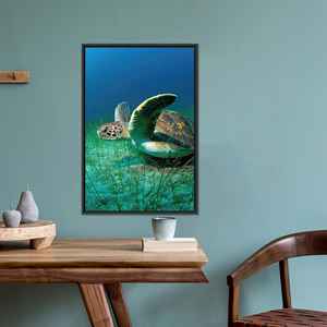 Modern Animal <b>Canvas</b> Print: Elegant Tempered Glass Turtle Artwork,BLACK <b>FRAMED</b> <b>CANVAS</b> - Product Image 1