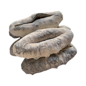 Venta al por mayor saludable natural negro seco pepinos de mar a granel Venta barata en producto de pepino de mar - Product Image 5