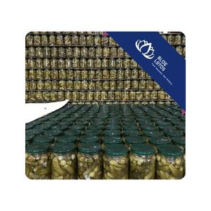 Concombre de haute qualité pour la production de cornichons, la préparation alimentaire et l'industrie de transformation, Vietnam - Product Image 1