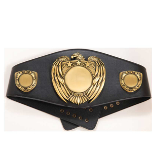 Ceintures de championnat de haute qualité MMA boxe lutte Muay Thai coup de pied boxe médailles médailles marque emballage personnalisé unisexe ceintures vierges - Product Image 3