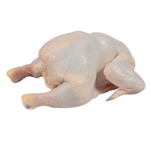 Compre pollo entero de calidad Halal congelado pollo entero carne de ave pollo a la venta en línea Origen de Brasil con el envío más rápido - Product Image 4