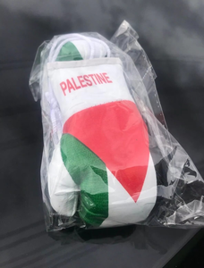 Llavero colgante de artículo de regalo para club infantil con bandera de Palestina, Mini guantes de boxeo, empuñaduras de mano con cordones, par de espejos de coche a prueba de viento - Product Image 3
