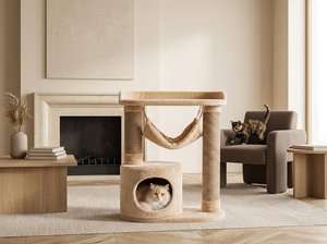 Heavenly Juno Cat House with Relaxing Cozy <b>Hammock</b> - Product Image 6