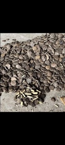 SEMILLAS TRADICIONALES DE GAC/METABOLISMO DE BOOST/FÓRMULA LIMPIA - Product Image 2