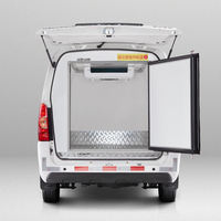 WuLing Cargo VAN électrique véhicule réfrigérateur stockage à froid Van réfrigérateur camion véhicule électrique conduite à droite voitures électriques