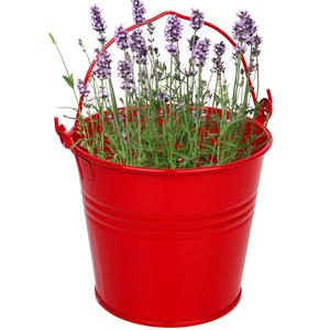 Fancy Decorative <b>Metal</b> Pail <b>Bucket</b> Galvanized Yellow Coated Garden planter Can Be Planted & Contains <b>Small</b> Items - Product Image 4