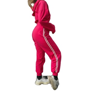 2025 Offre Spéciale dames sweat à capuche court vêtements d'entraînement ensembles Logo personnalisé brodé solide motif survêtements pour filles pour l'hiver Air - Product Image 5