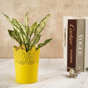 Maceta de flores frescas de Metal de forma redonda más vendida Acabado amarillo para macetas decorativas de interior y exterior - Product Image 1