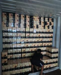 Hookah Shisha Carbón, Carbón de Coco - Product Image 4