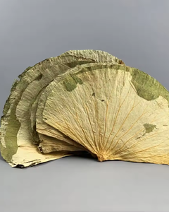 ใบบัวแห้งเวียดนามสำหรับชงชา สมุนไพร และการใช้ประโยชน์ด้านสุขภาพ - Product Image 5