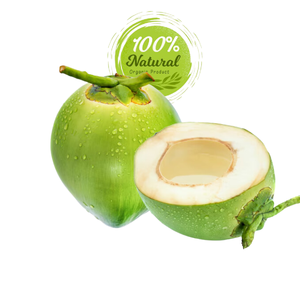 Coco Fresco de Granja - Mejor Precio para Exportación - Product Image 1