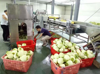Goede Prijs Automatische Commerciële Grapefruit Peeling Machine Auto Industriële Pomelo Huid Dunschiller Villen Apparatuur Te Koop