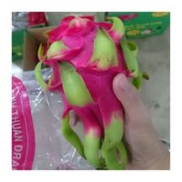 Biologisch Vers Drakenfruit In Vietnam Goedkope Prijs-100% Pure Geen Ingrediënten Topverkoop Vietnam Landbouw Vers Fruit