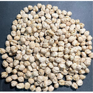 Venta Caliente de Garbanzos Kabuli Secos de Alta Calidad a Granel - Product Image 3