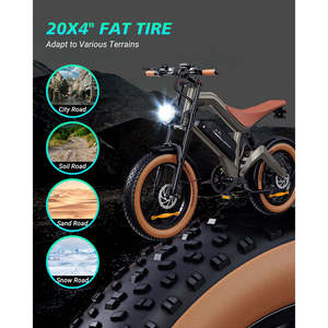Bicicleta Eléctrica Todoterreno M20, 750W, 48V, 60KM de Autonomía, Motor Central, Batería Integrada, Rueda de 20 Pulgadas, Bicicleta Eléctrica de Montaña - Product Image 3