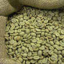 HIGH GRADE GREEN ROBUSTA COFFEE BEANS SPECIALTY OEM NEW CROP REASONABLE ETHIOPIAN <b>SEEDS</b> LUWAK EXPORTING <b>PACKAGING</b> VIETNAM - Product Image 3