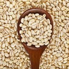 Grano de Cebada Sin Cáscara Seco, Variedad Común Natural para Alimentación Animal y Procesamiento de Alimentos en Venta - Product Image 2