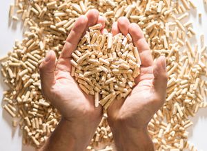 Granulés de bois biomasse de haute qualité avec 0,7 % de cendres, densité de 600-750 kg/m³, 10 % d'humidité pour le chauffage commercial et les applications énergétiques - Product Image 4