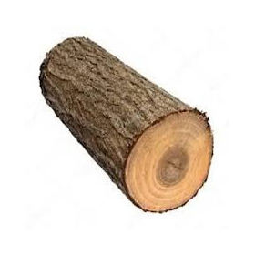 25. TOP <b>SALE</b> High Quality Beech <b>Wood</b> Timber/lumber/<b>logs</b>- 100% Natural Beech <b>Wood</b> <b>for</b> Furniture, Construction - Product Image 4