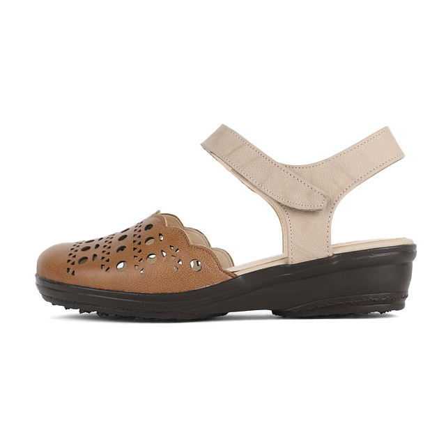 สีน้ำตาล