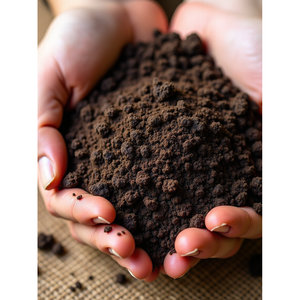 100% Engrais organique de source végétale de vermicompost foncé naturel dans l'état de poudre pour l'application de sol et de culture - Product Image 3