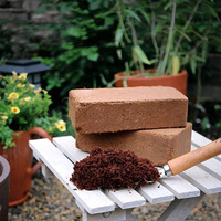 Blocs de tourbe de coco de haute qualité pour la culture des plantes