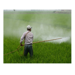 Poudre d'argile kaolinique lavée de haute qualité pour les applications de savon, de détergent, de papier, de cosmétiques et de produits réfractaires - Product Image 2