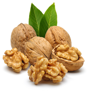 วอลนัทเกรดพรีเมียม เมล็ดวอลนัทครึ่งซีกสีอ่อน ขายส่งจำนวนมาก คุณภาพส่งออก สดใหม่จากธรรมชาติ - Product Image 5