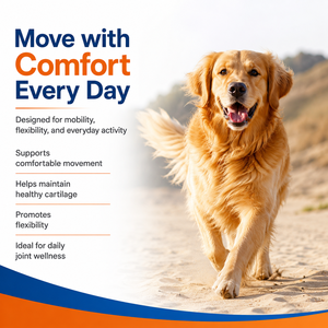 Complément Avancé pour Articulations Canines en Gros : Glucosamine, Chondroïtine, MSM, Acide Hyaluronique pour la Santé Articulaire du <span class=keywords><strong>Chien</strong></span> - 120 Comprimés OEM - Product Image 3