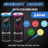 Fournisseur en gros de boisson énergisante Dragon 250 ml, OEM/ODM, échantillon gratuit, sans sucre, avec des vitamines essentielles aromatisées