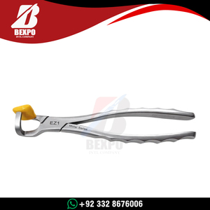 Juego de 2 fórceps para extracción de molares dentales, venta al por mayor, alta calidad - Instrumentos dentales de acero inoxidable para dentistas - Product Image 5