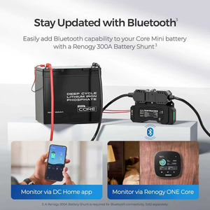 Batteria al Litio Mini 12.8V 100AH LiFePO4 con BMS 100A, 9.02x5.43x8.39, 21.8 LBS, Ciclo Profondo per Accumulo di Energia Solare - Product Image 2