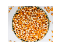 Maïs jaune glutineux de qualité supérieure (GMO) frais de Thaïlande pour l'alimentation animale 25 kg