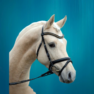 Conception personnalisée de haute qualité en cuir de cheval bride de cheval bride de cheval serre-tête bride de cheval - Product Image 5