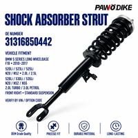 Amortisseur avant droit professionnel à gaz, référence OE 31316850442, pour BMW Série 5 F18 – Pièce de rechange en stock pour distributeurs